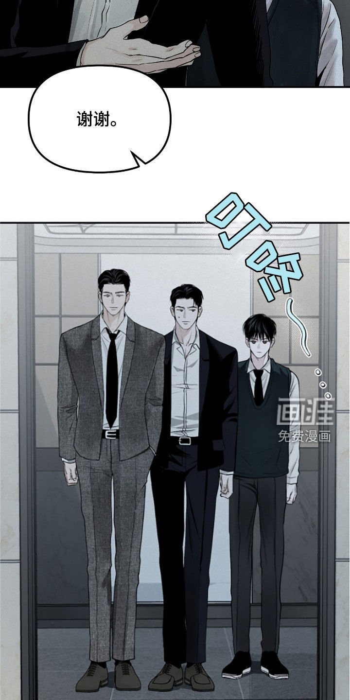 第39章：危险的喜欢