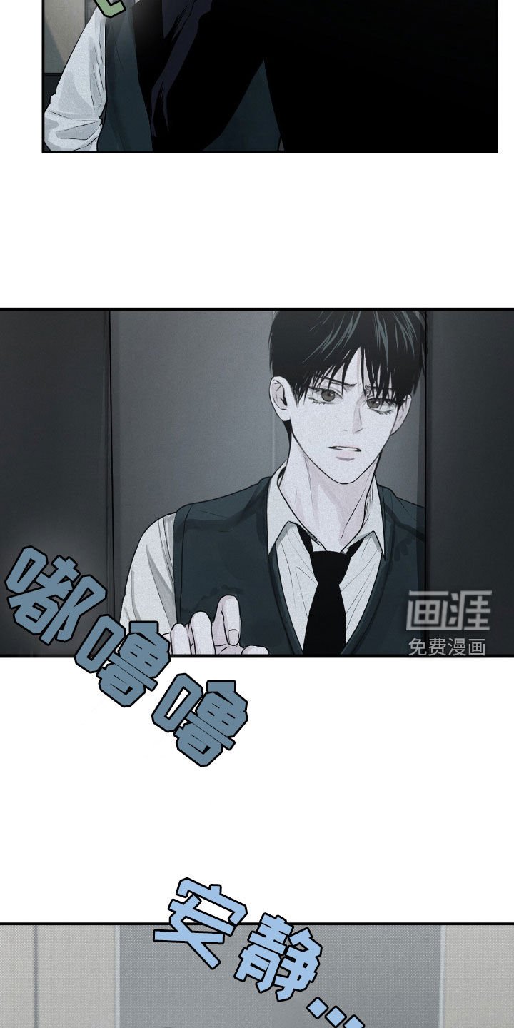 第39章：危险的喜欢