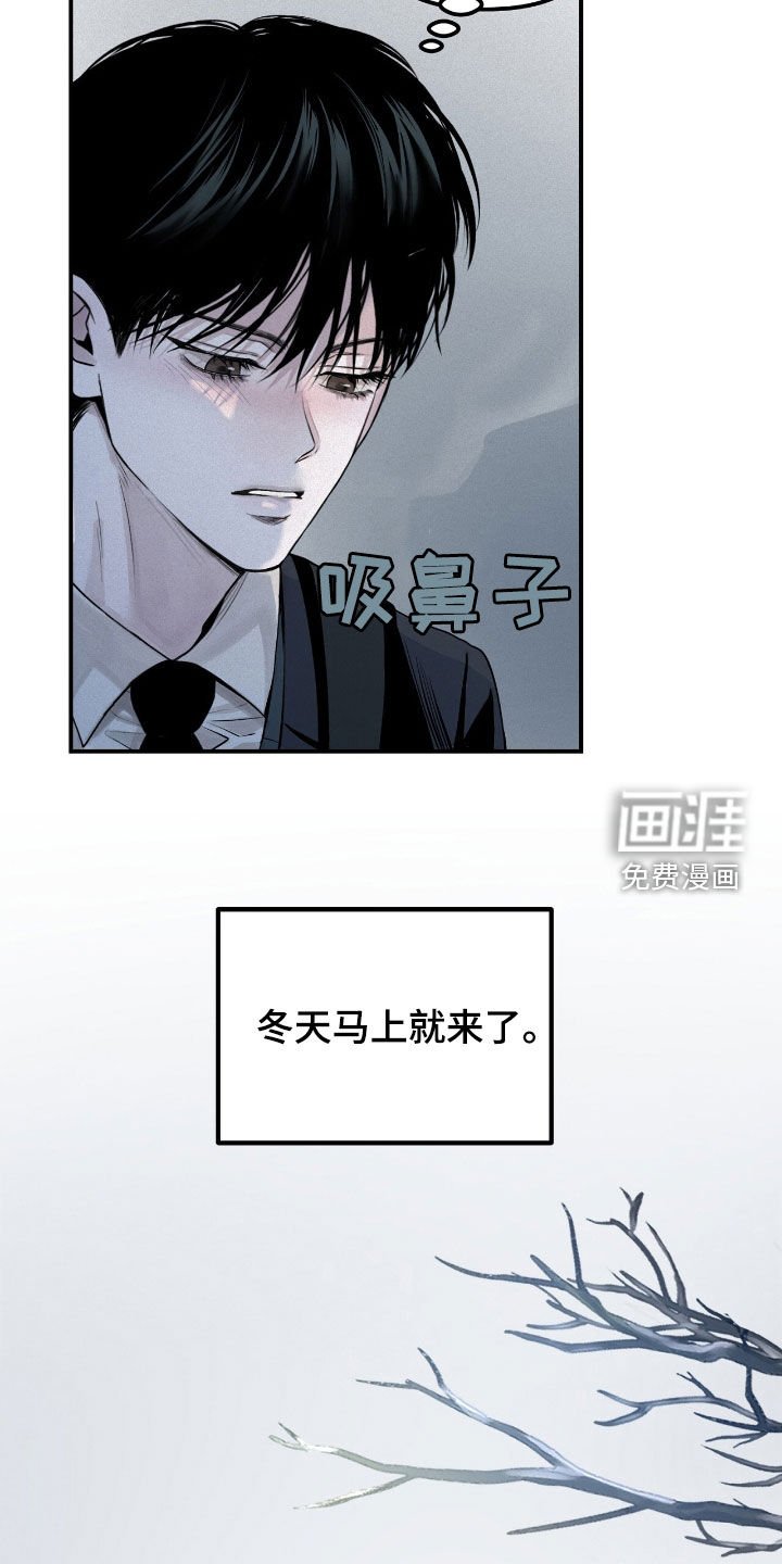 第46章：冬天来临