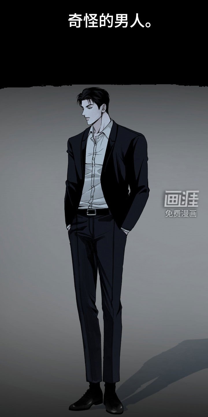 第66章：观察总结