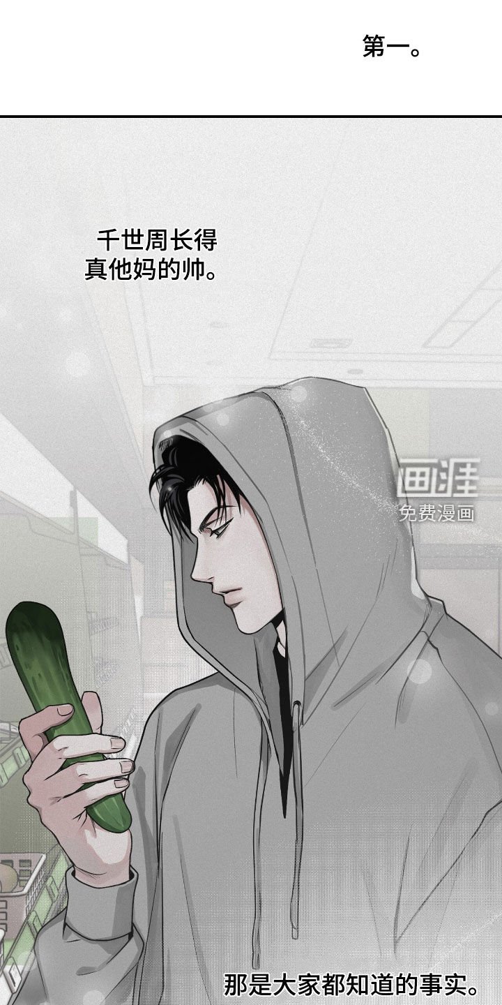 第66章：观察总结