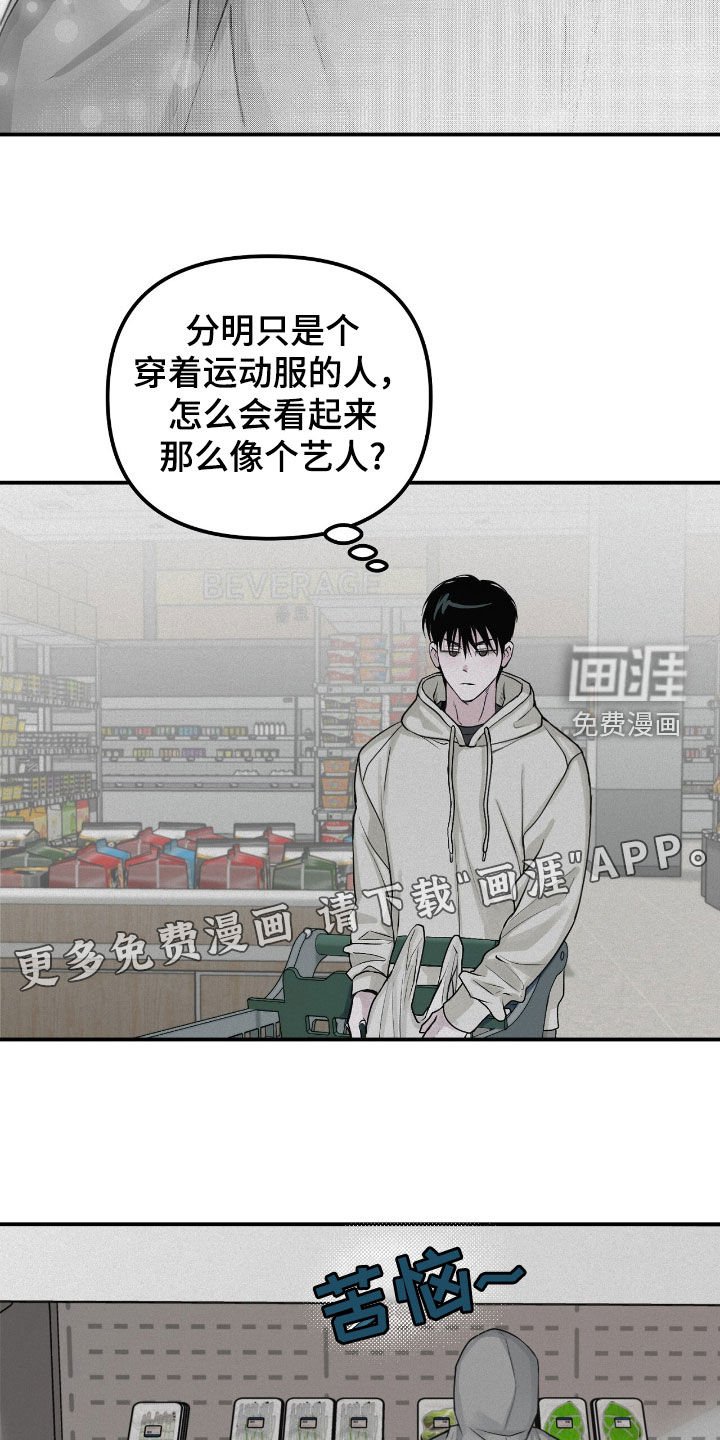 第66章：观察总结