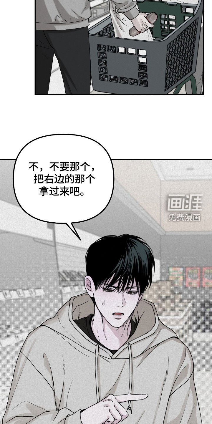 第66章：观察总结