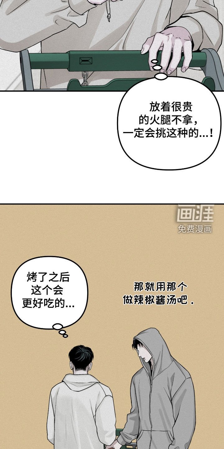 第66章：观察总结