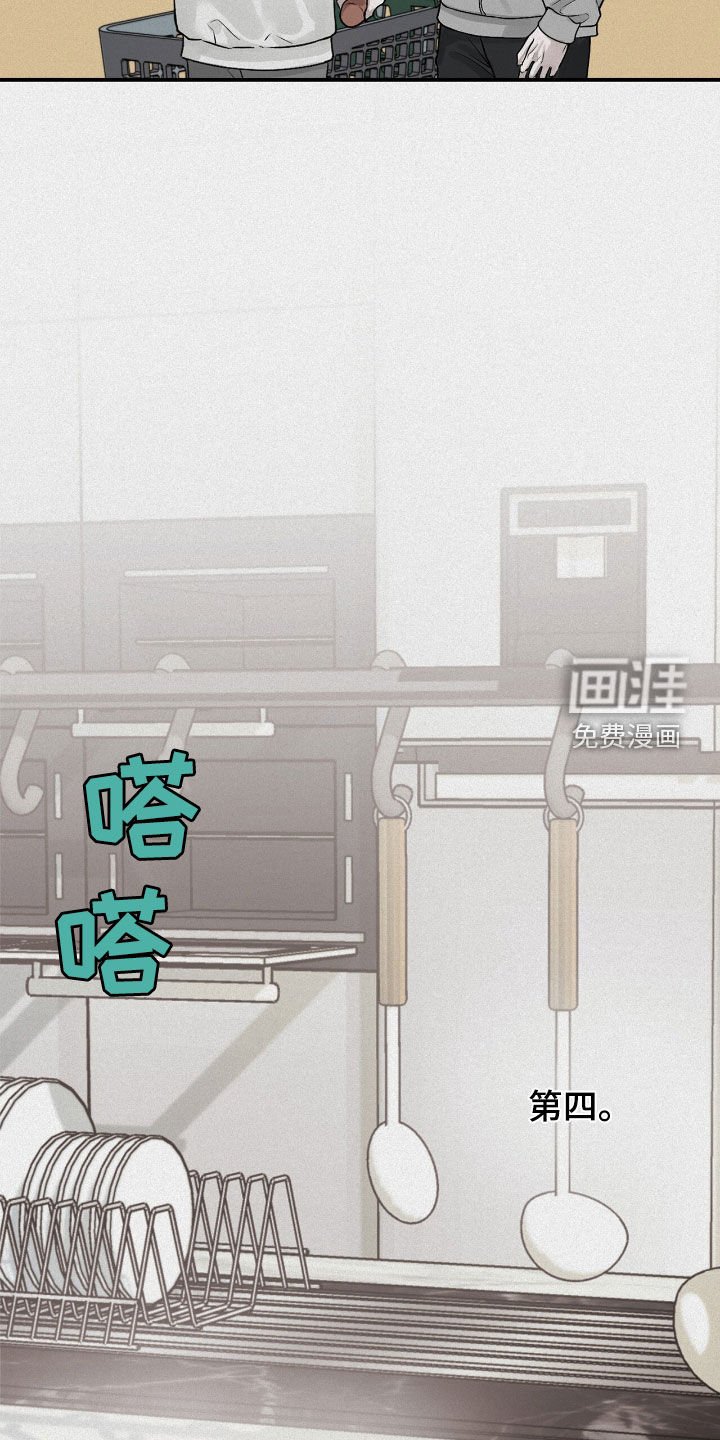 第66章：观察总结