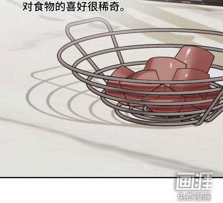 第66章：观察总结