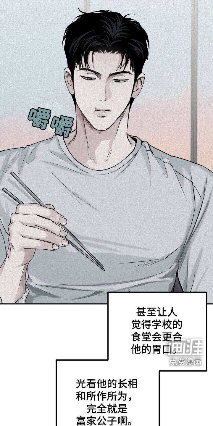 第66章：观察总结