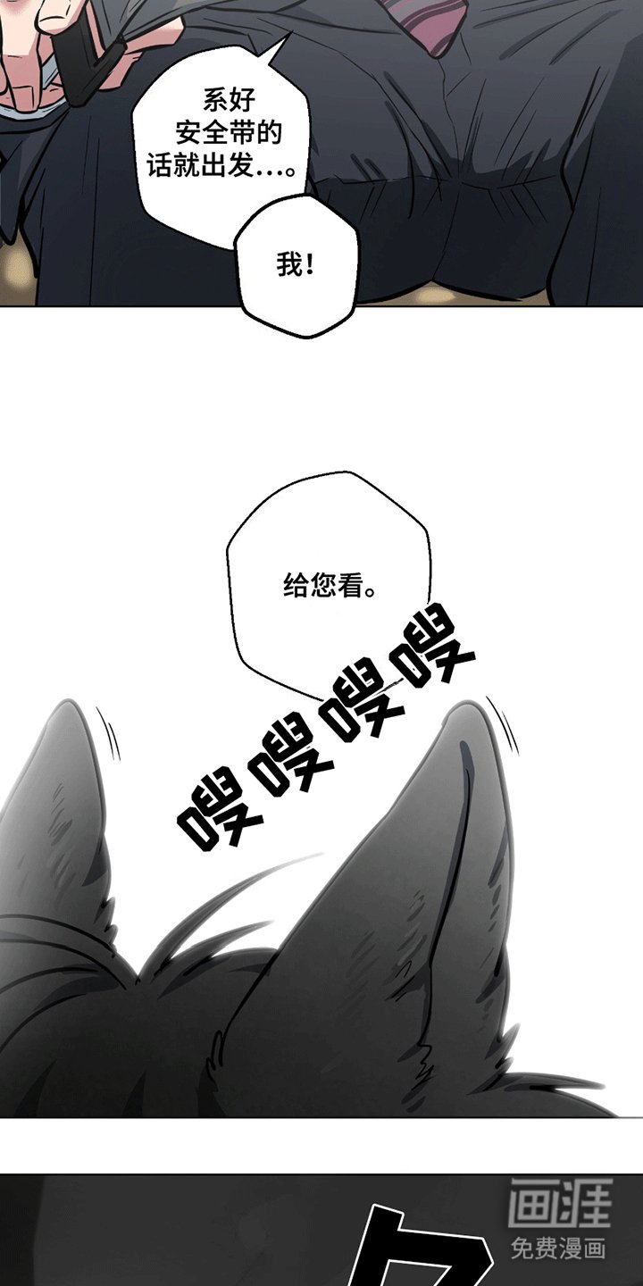 第11章：能看看吗