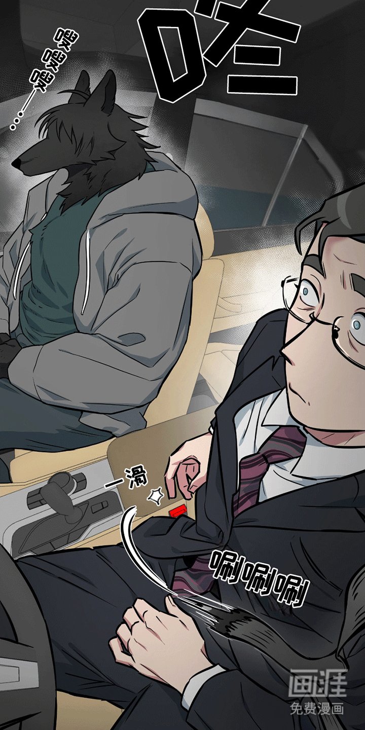 第11章：能看看吗