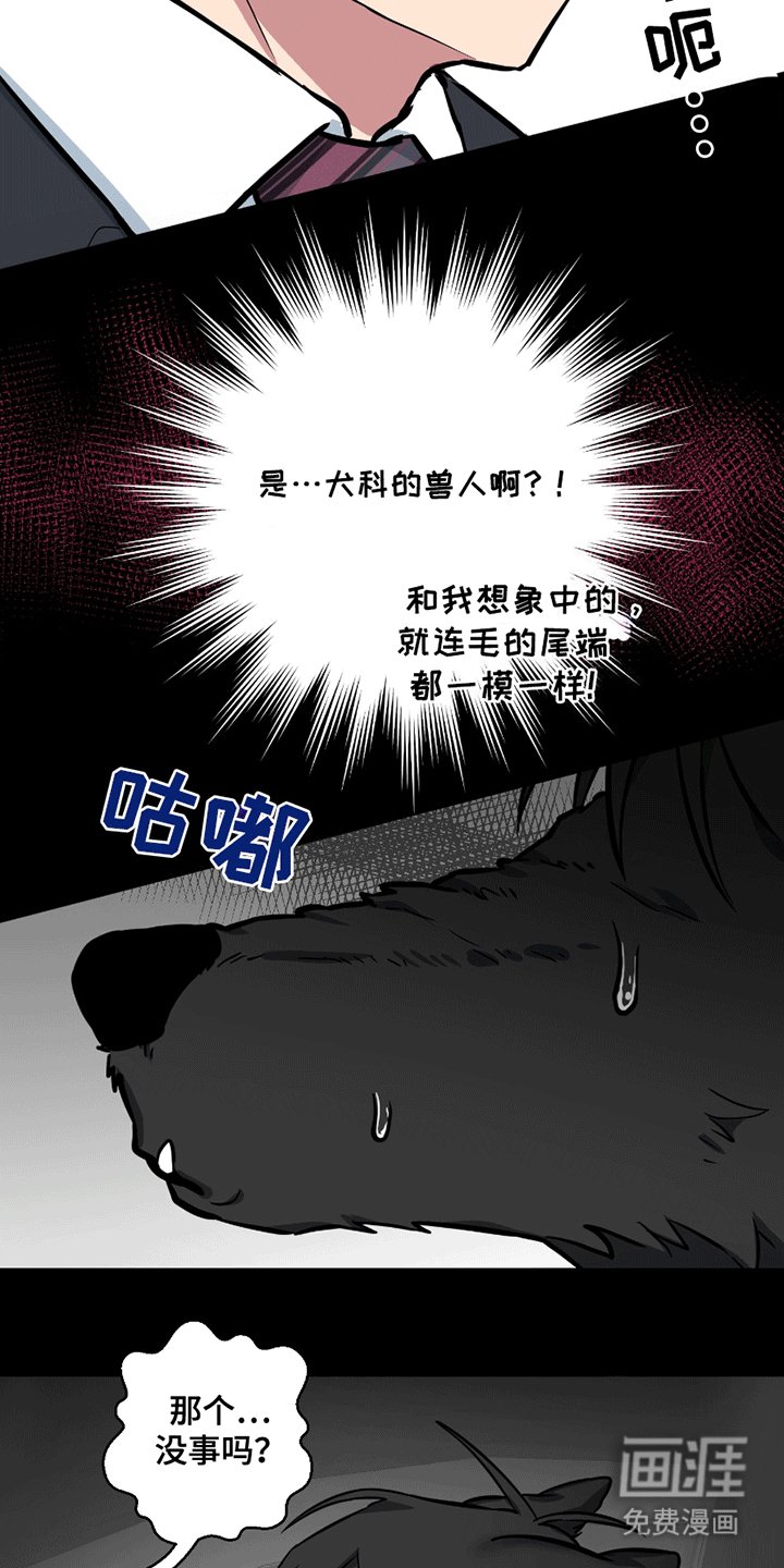第11章：能看看吗