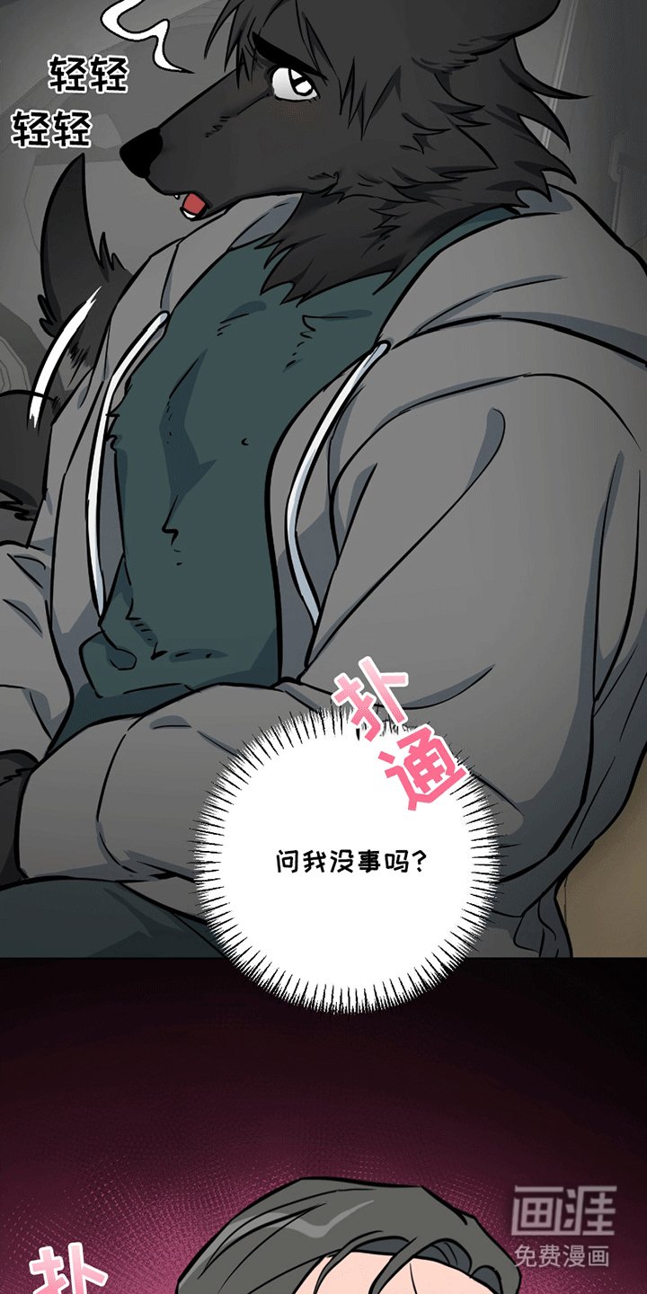 第11章：能看看吗