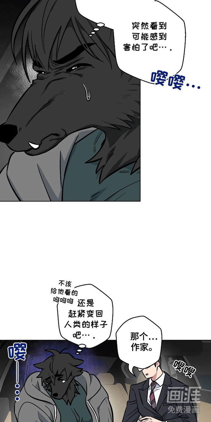 第11章：能看看吗