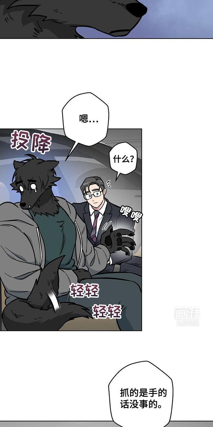 第12章：太喜欢了