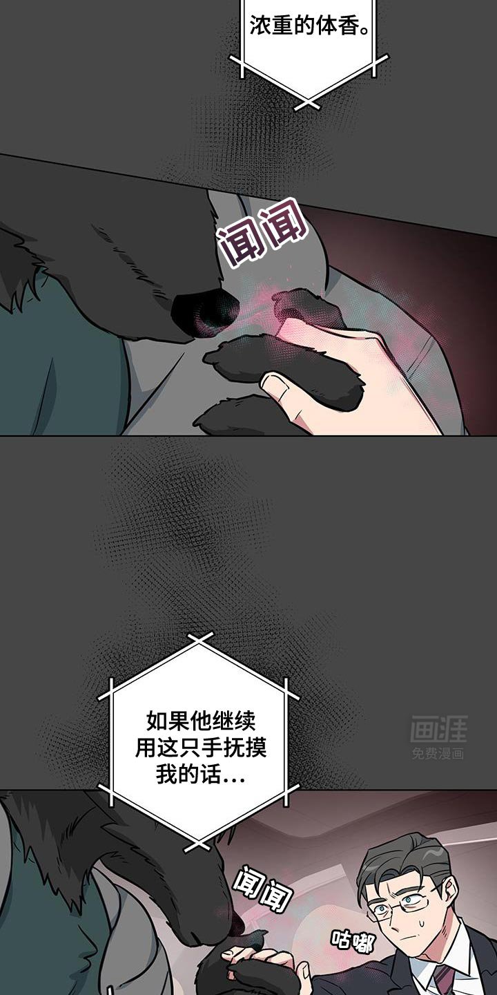 第12章：太喜欢了