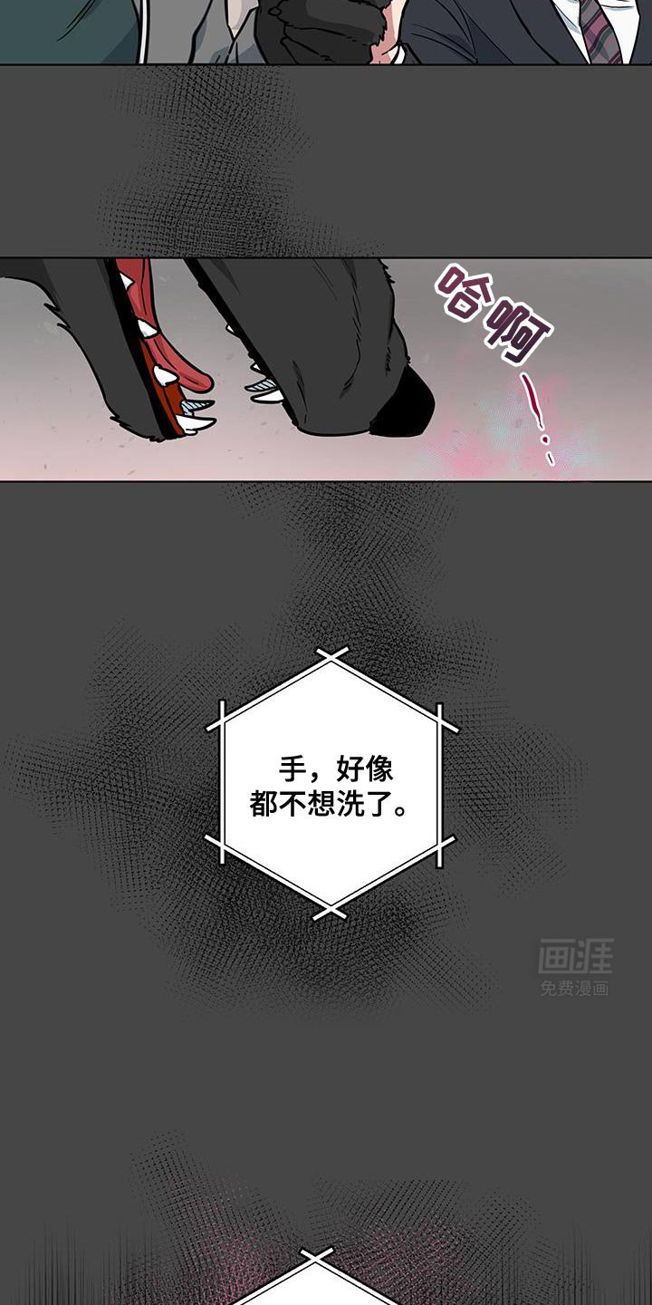 第12章：太喜欢了
