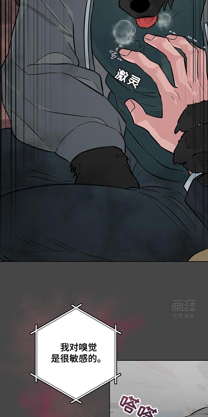 第12章：太喜欢了