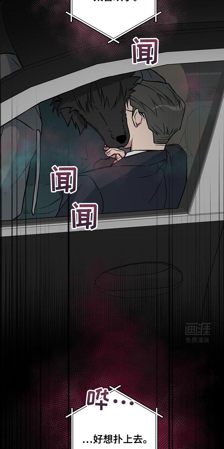第12章：太喜欢了