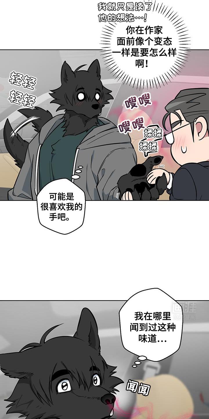 第12章：太喜欢了