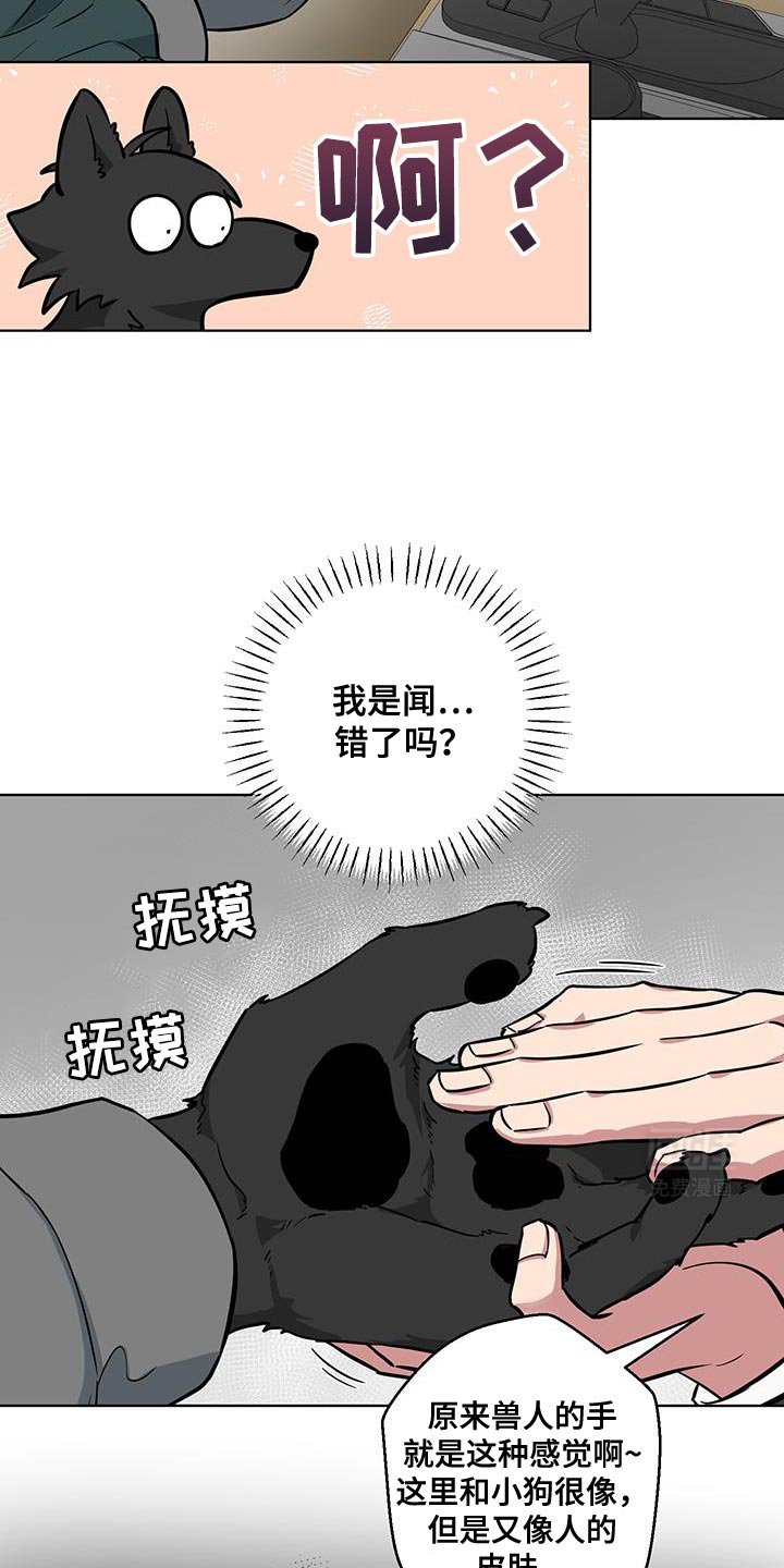 第13章：辩解