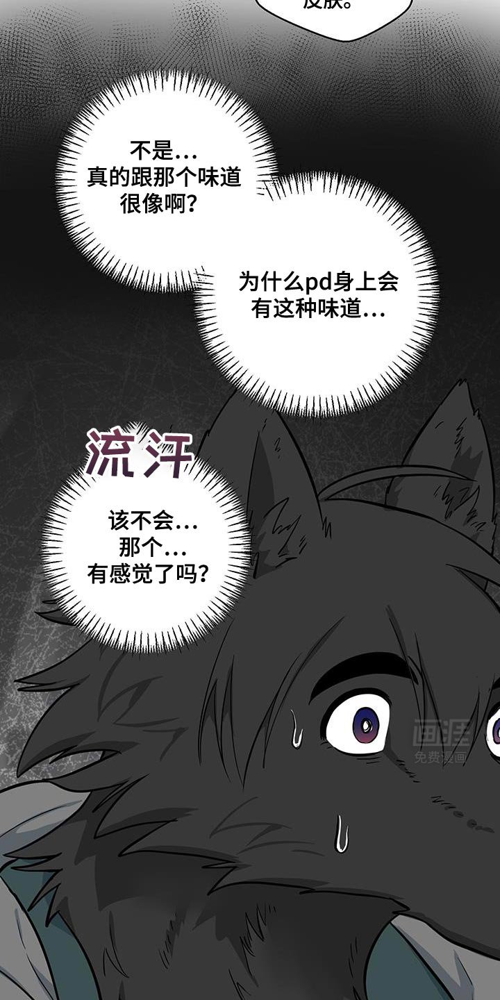 第13章：辩解