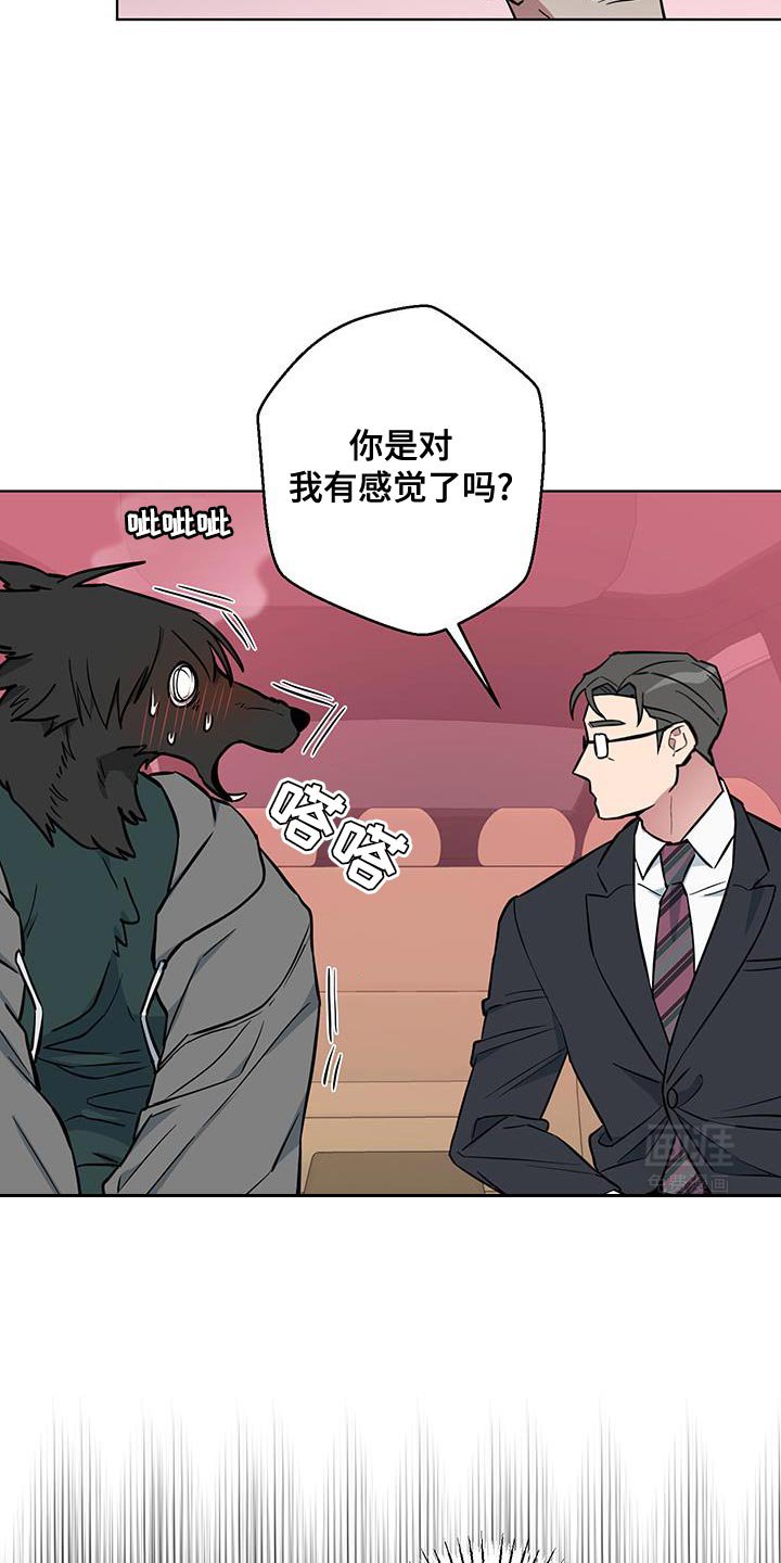 第13章：辩解