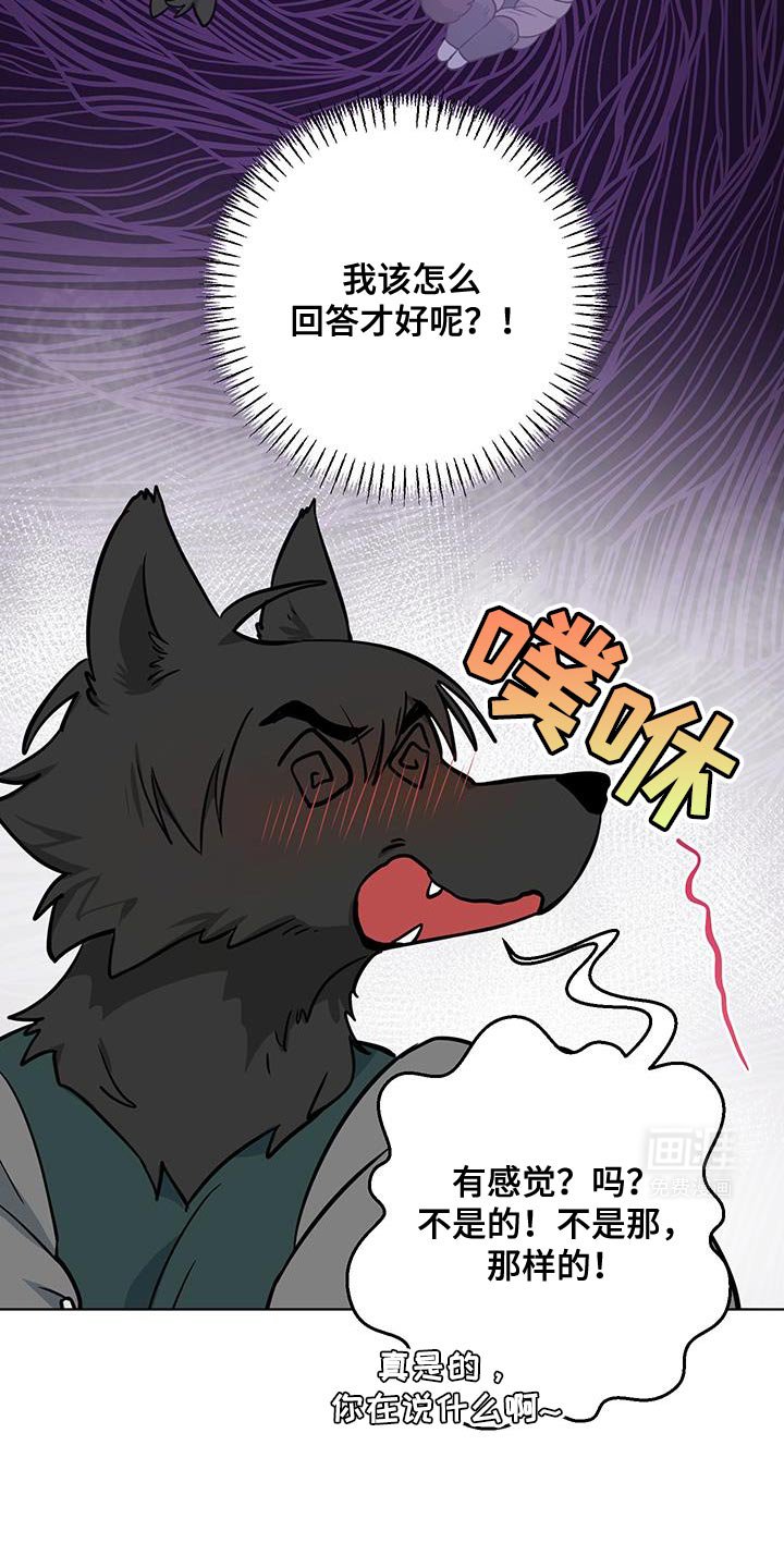 第13章：辩解