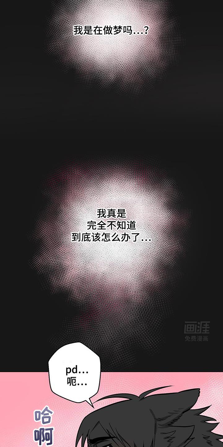 第13章：辩解