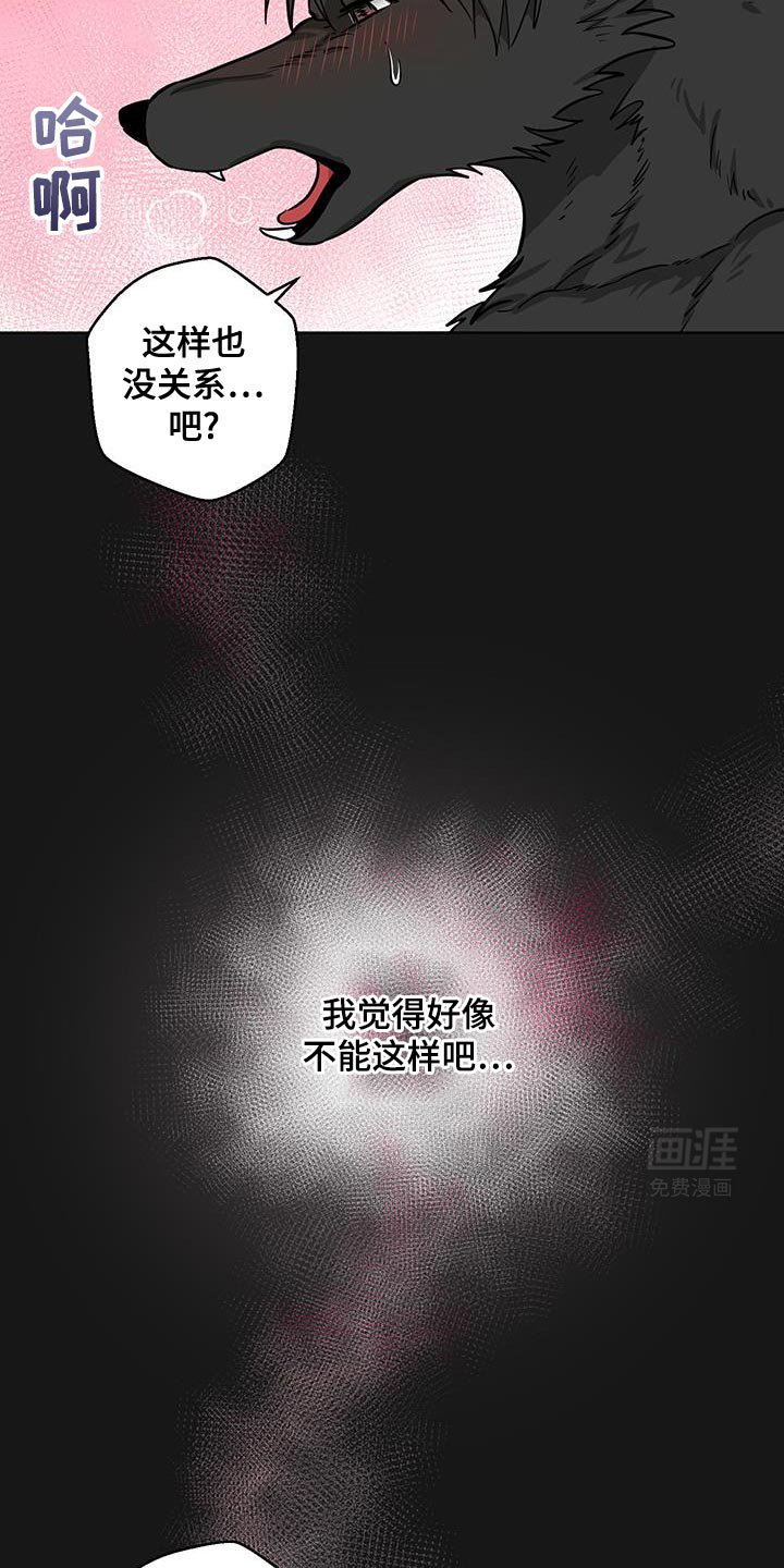 第13章：辩解