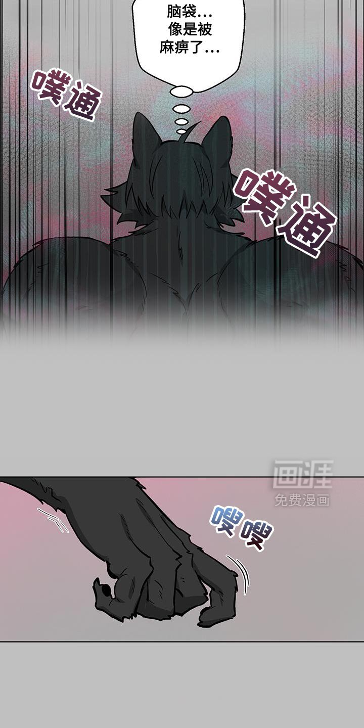 第14章：要我告诉你吗？