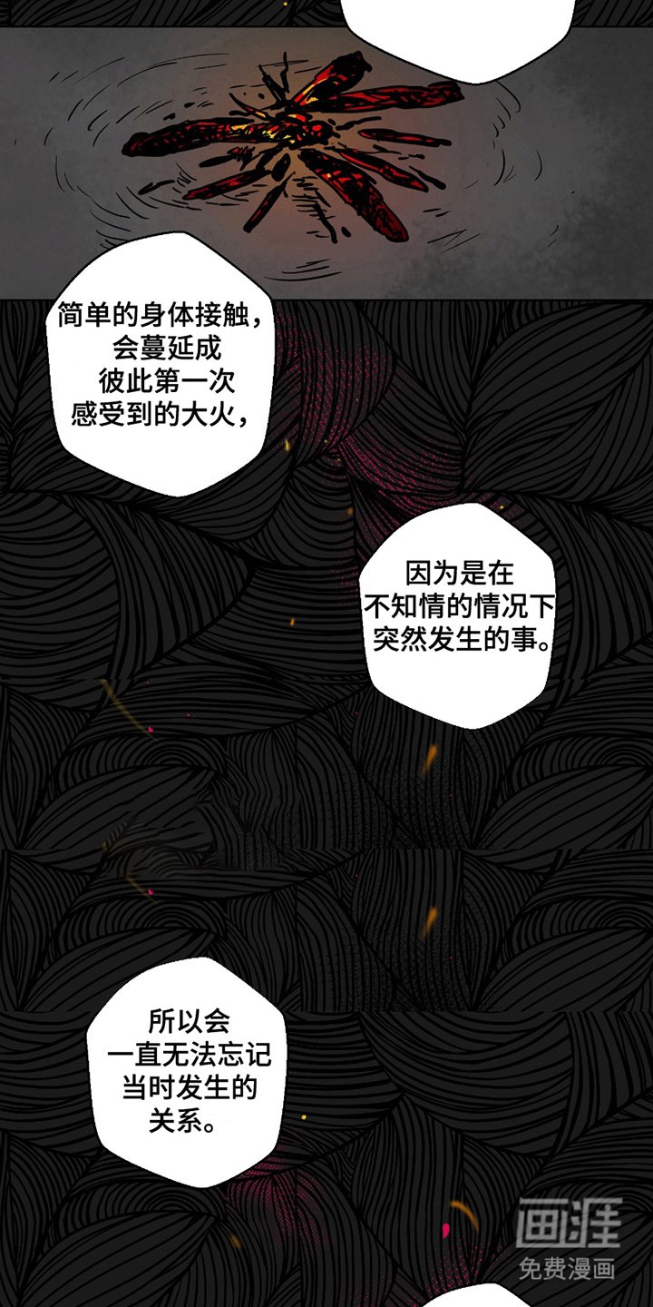 第5章：看透