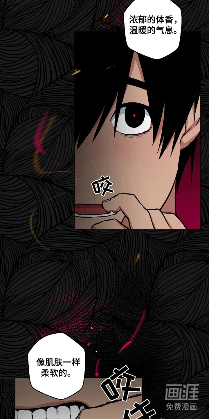 第5章：看透