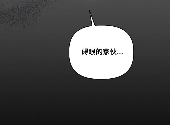 第20章：碍眼碍事的家伙