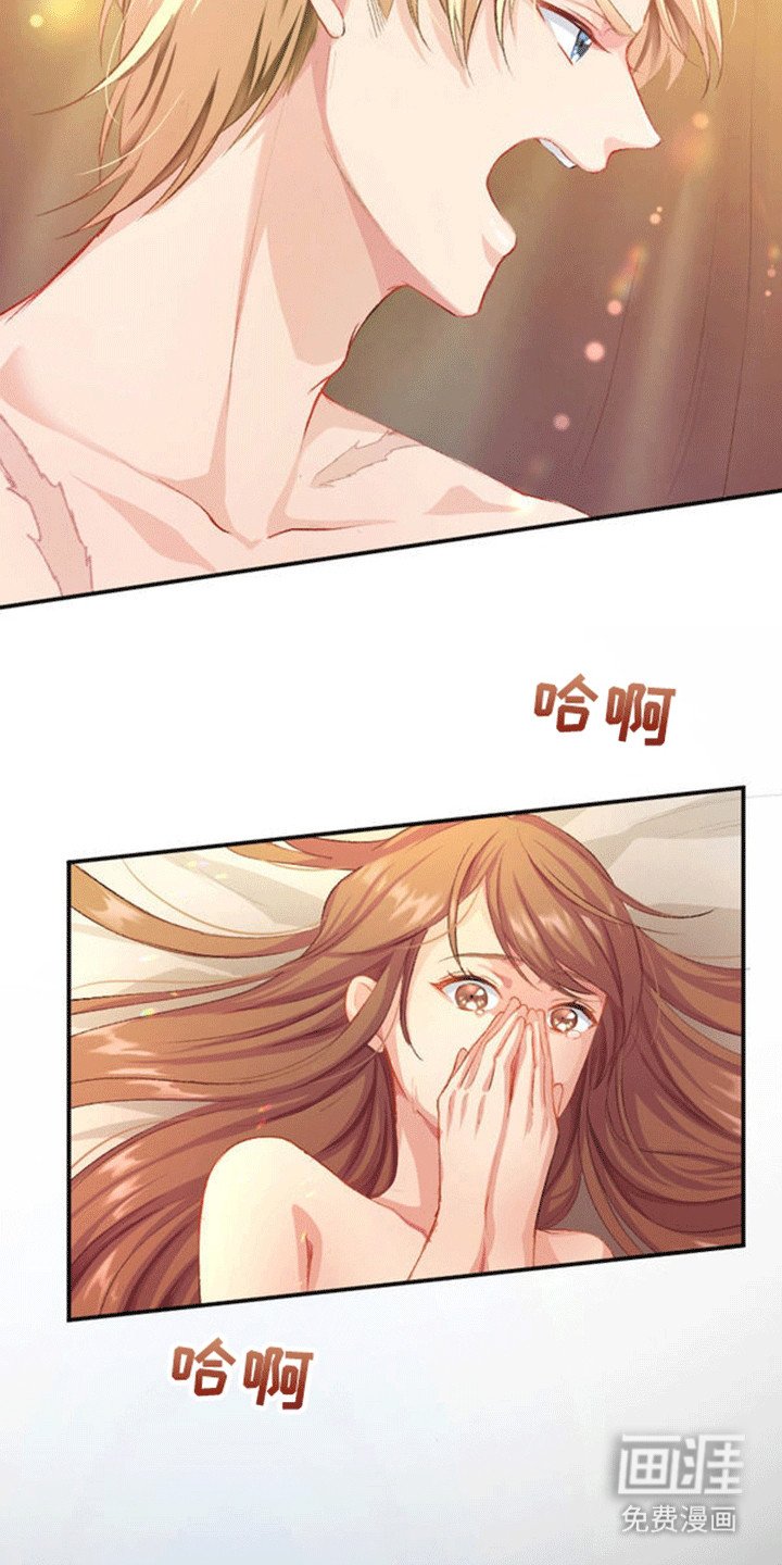 第17章：和平夜