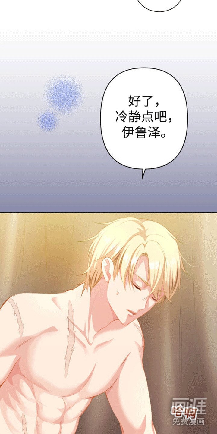第17章：和平夜