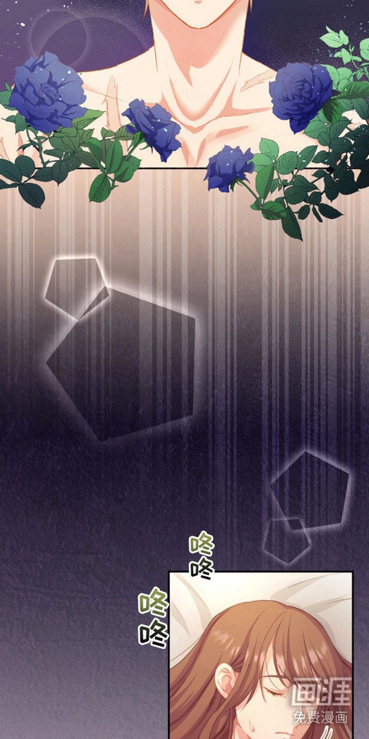 第17章：和平夜