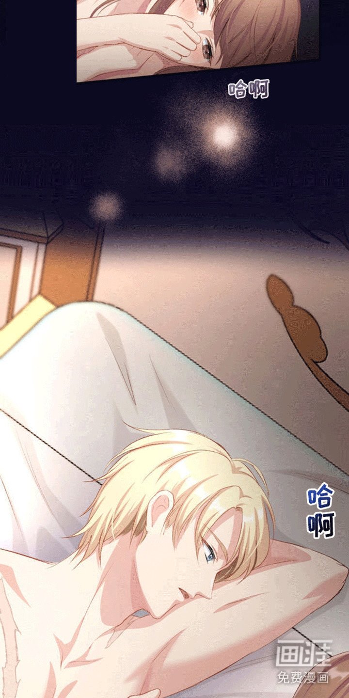 第17章：和平夜