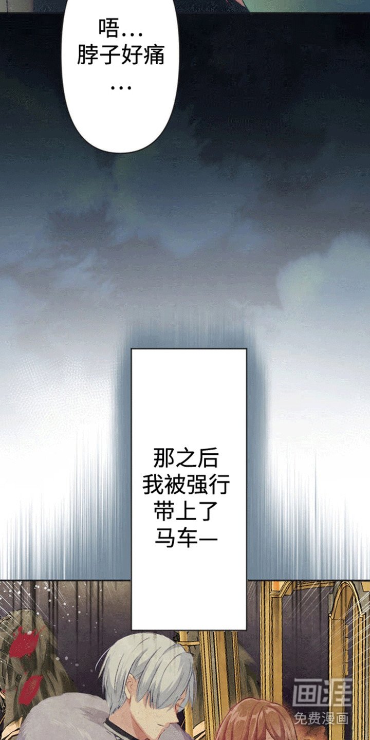 第4章：带走