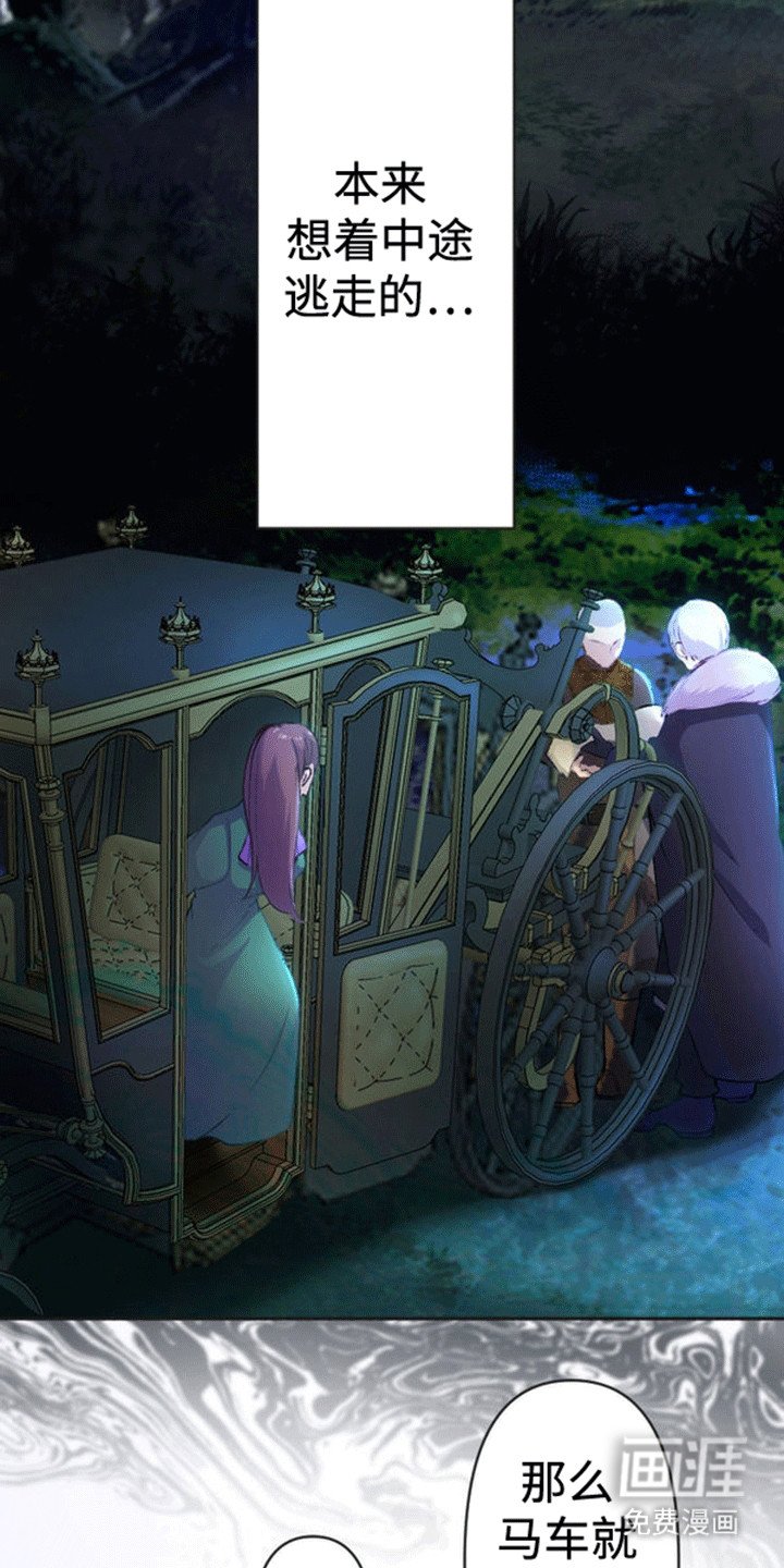 第4章：带走