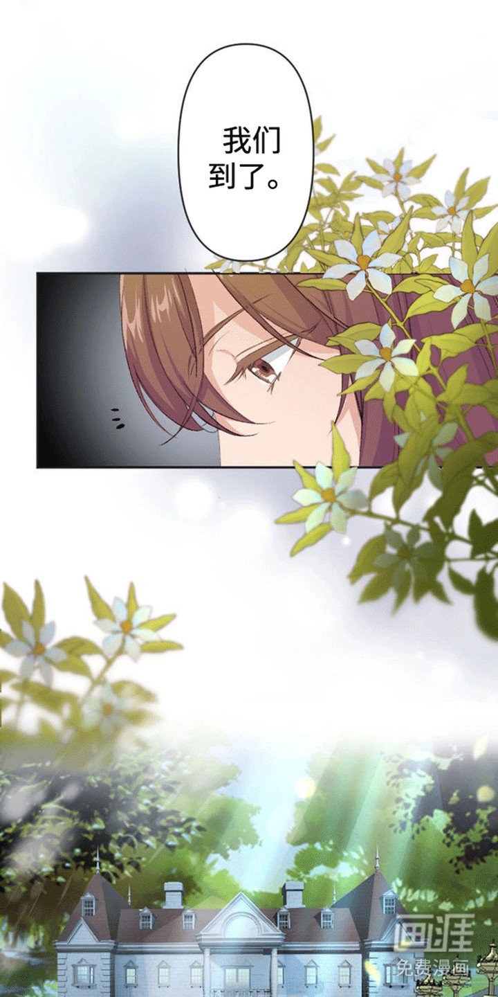 第4章：带走