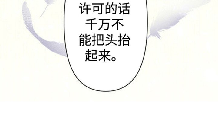 第4章：带走