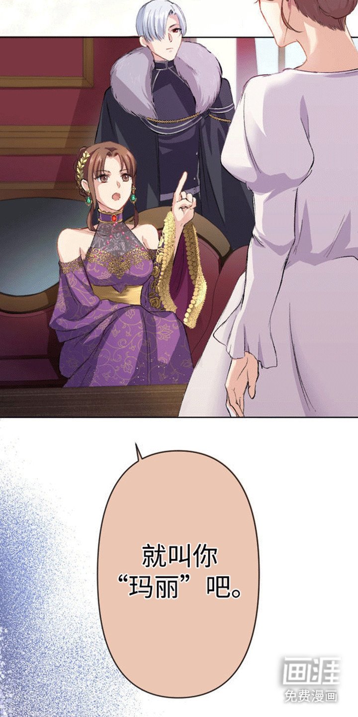 第8章：伪装