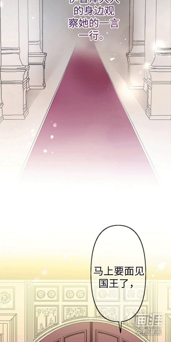 第9章：面见国王