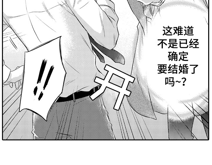 第21章：确定结婚