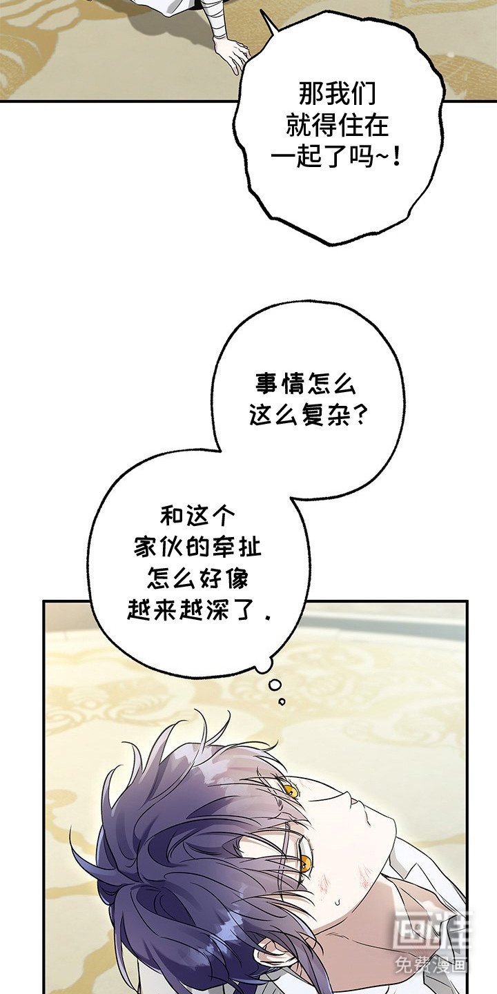 第11章：老头的遗憾