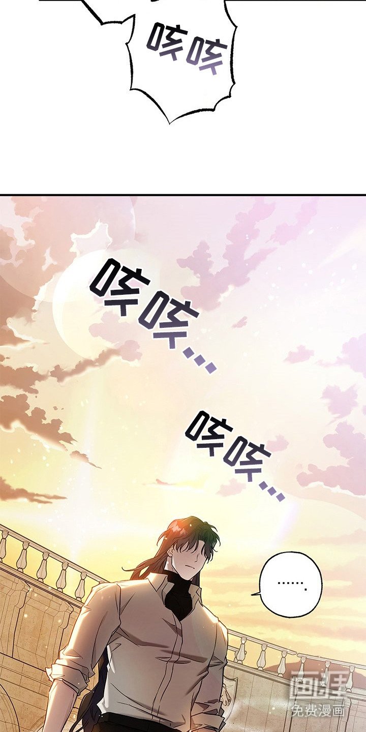 第20章：很矛盾