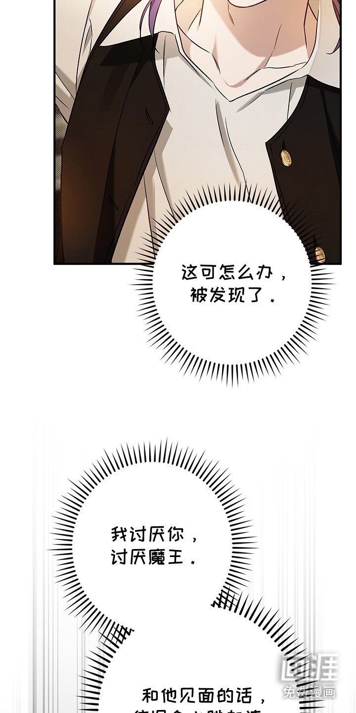 第20章：很矛盾