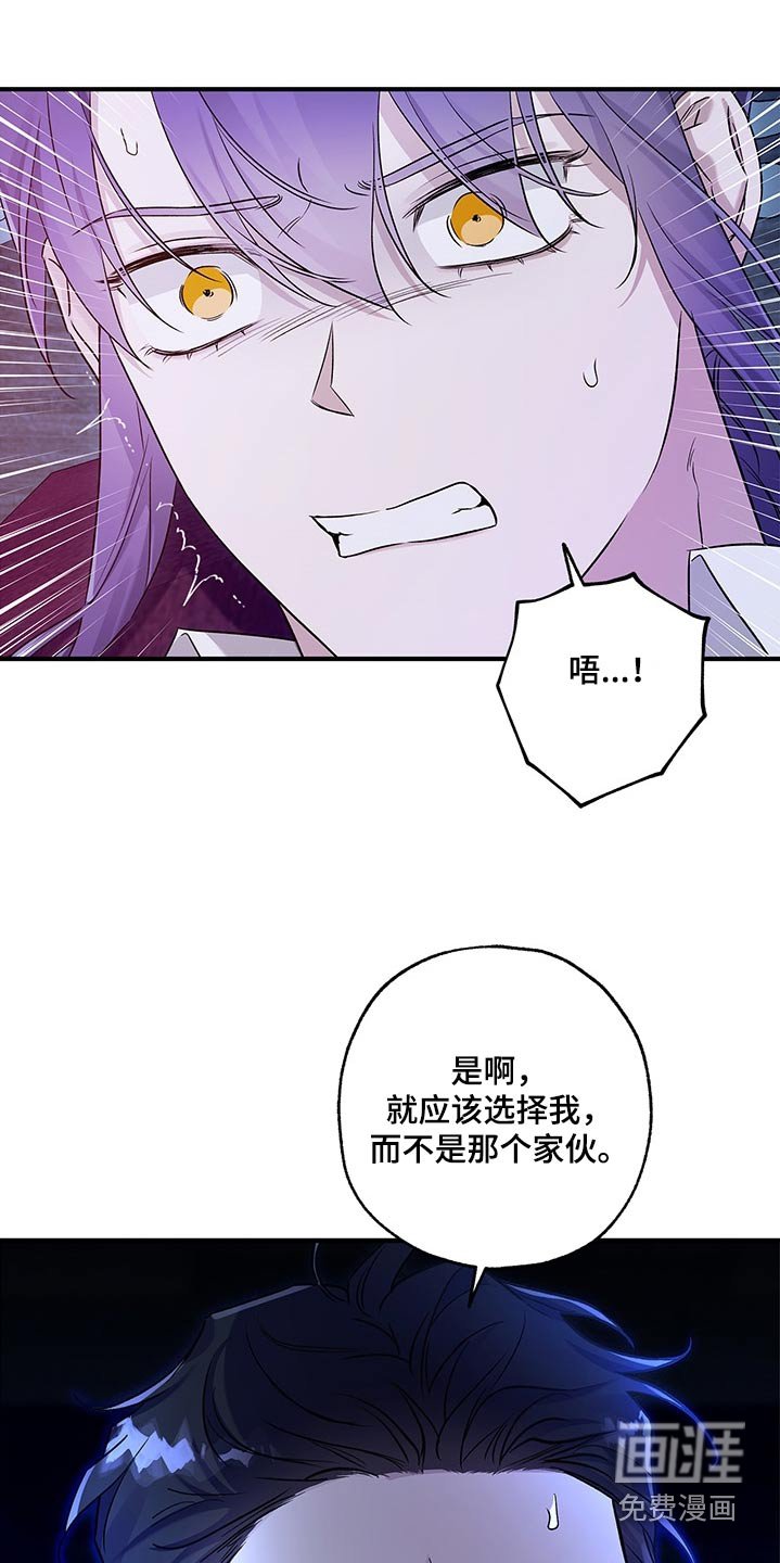 第28章：挑衅