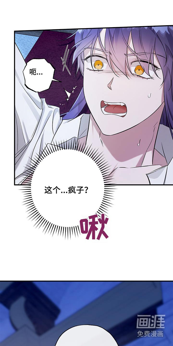 第28章：挑衅