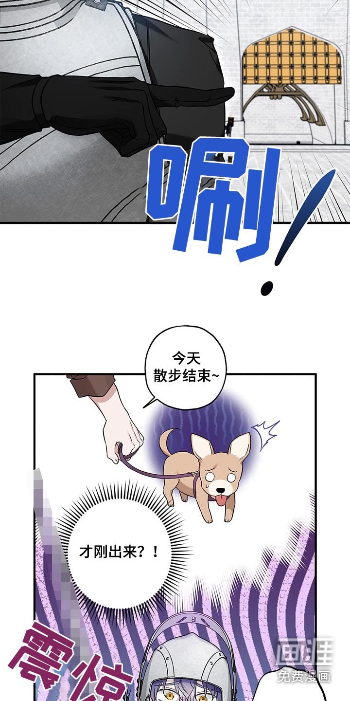 第34章：许什么愿