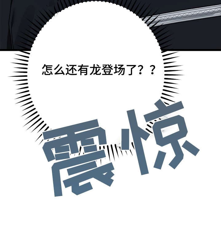 第48章：暗龙